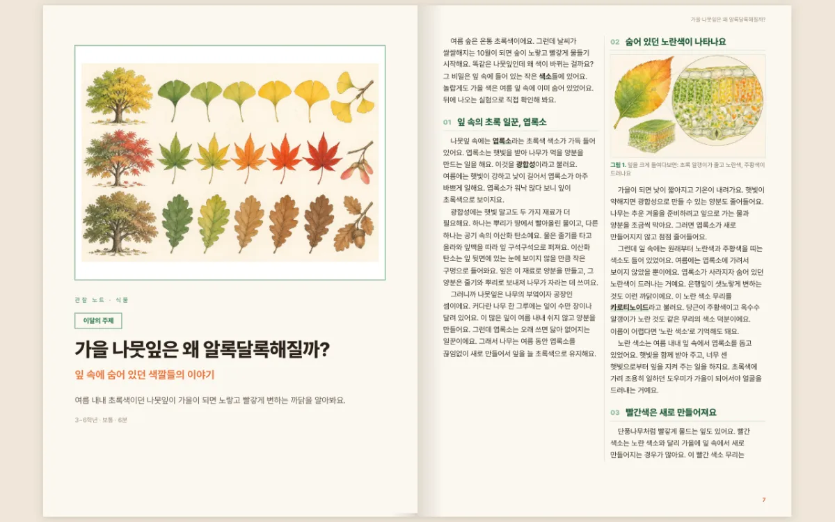 책달 — 두 쪽 펼침으로 읽기